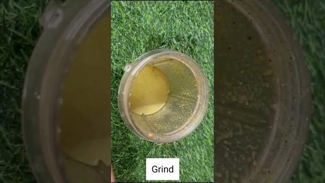 Aloevera Hair Wash shampoo,get damage free hair #short #haircaretips #homeremedy #hairgrowthtips