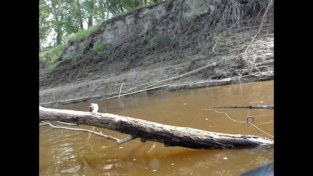 Рыбалка на Тоболе.