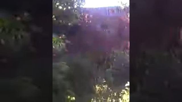Дайте мне совет покупать мне гидроскутер?