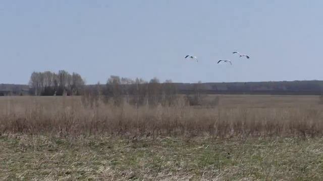 д.Озеркид.Ключики Ординский район Пермский край