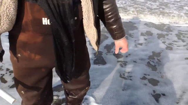 как мы за ракушками ездили