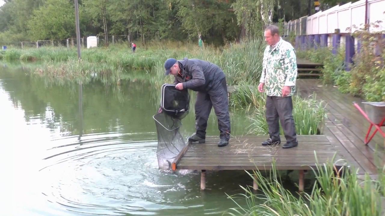 После рыбалки в Рыбацкой Деревне в Юрлово.