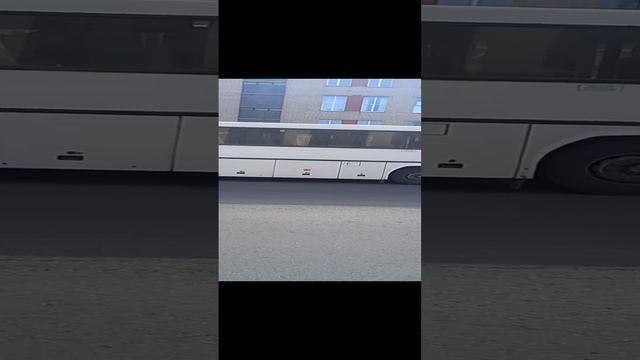 Автобус Могилёва МАЗ 152.062 АА 8585-6