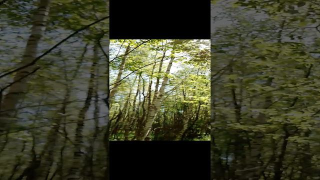 Гуляем по красивым лесам по зелёным лугам. Прогулка на природе за городом в Подмосковье в мае. Ч.4