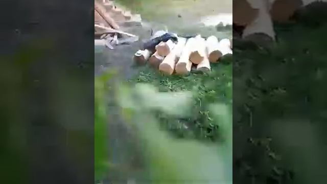 Изготовление и сбор сруба, который не требует конопатки