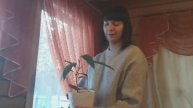 Какие #домашние цветы #лучше #выбрать #для #дома, #уход и #подкормка