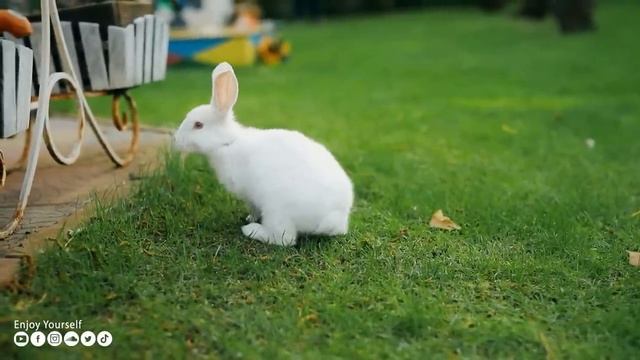 Успокаивающая музыка лечит сердце и успокаивает нервную систему? Музыка для души и расслабления #27