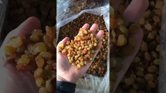 ТД Асаль Ко - Как выглядит поставляемая нами продукция. Изюм Малаяр, Иран
