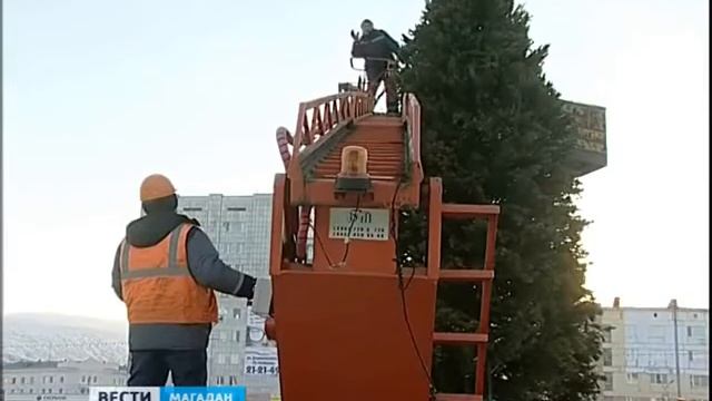 В Магадане начали устанавливать новогодние елки