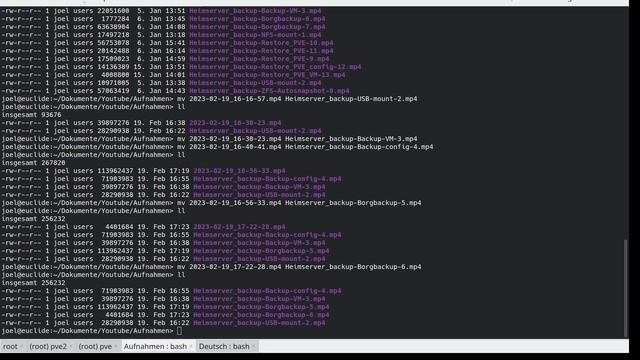 Proxmox server backup und wiederherstellung