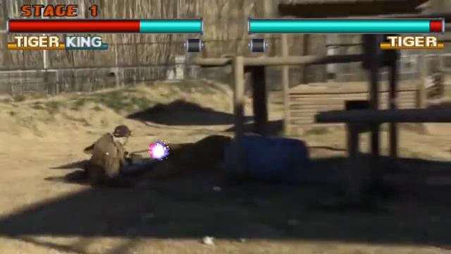 Tekken: Tiger King