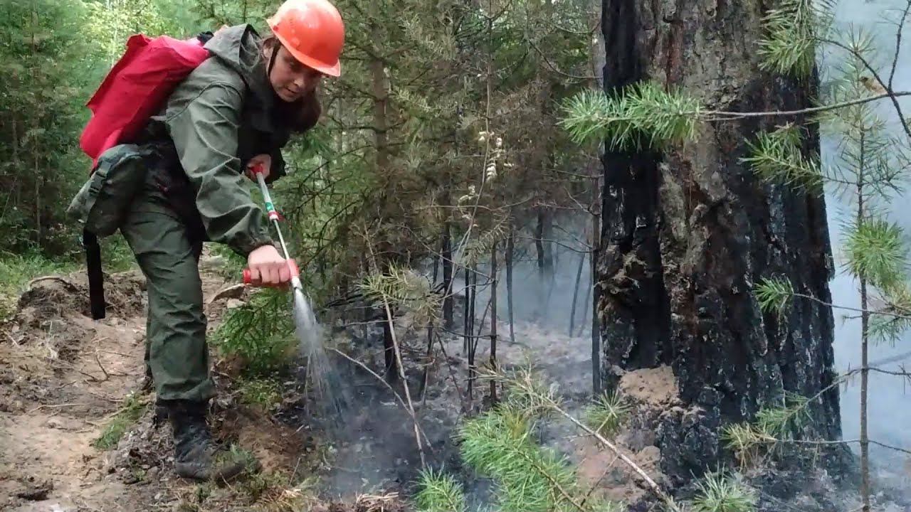 Волонтеры тушат лесной пожар в поселке Сагра