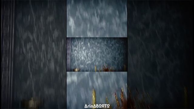 Beauty_Video_1672009816468_HD.mp4