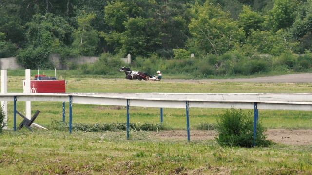 3.07.2021г.Красноярск Приз Элиты для лошадей Рыс.пород старшего возраста 1600м(1ГИТ)