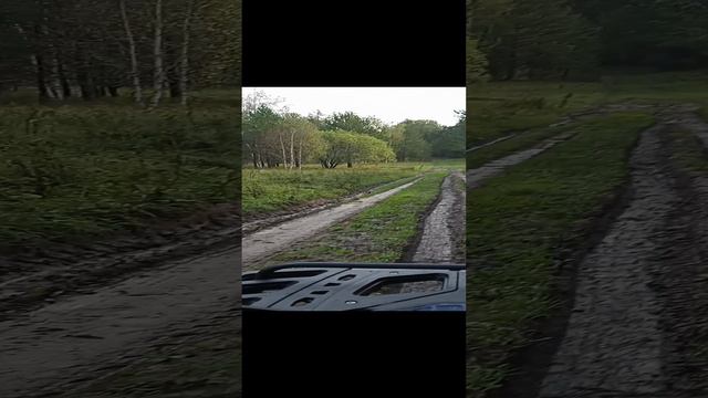 13.09.2023г. лесные покатушки