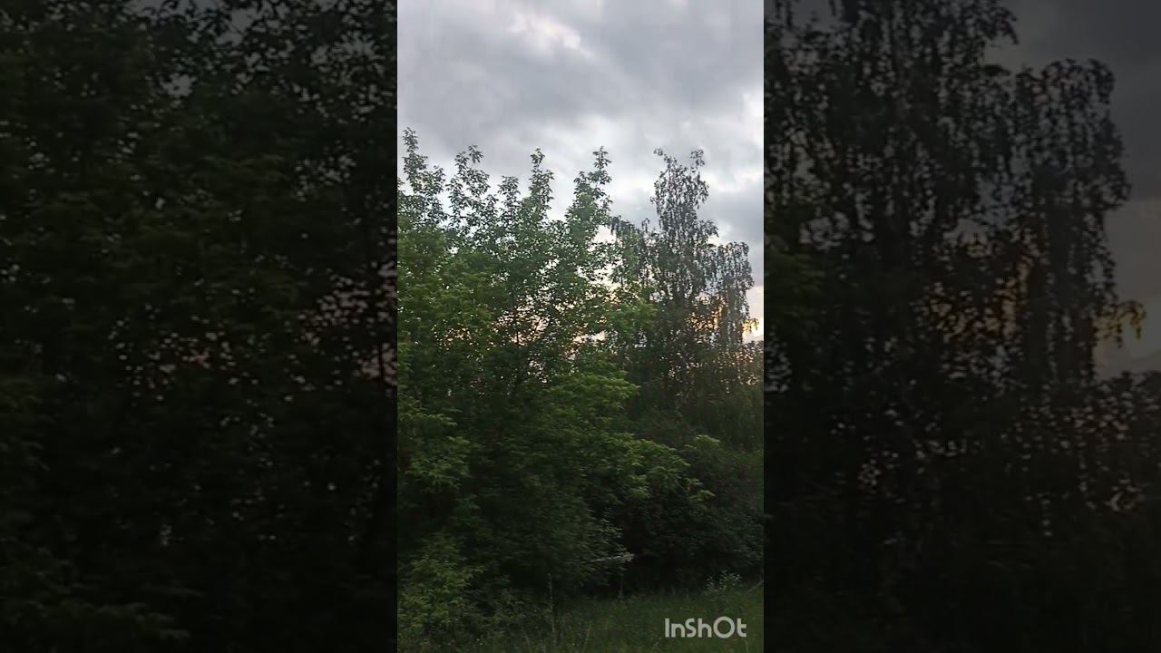 Летний вечер