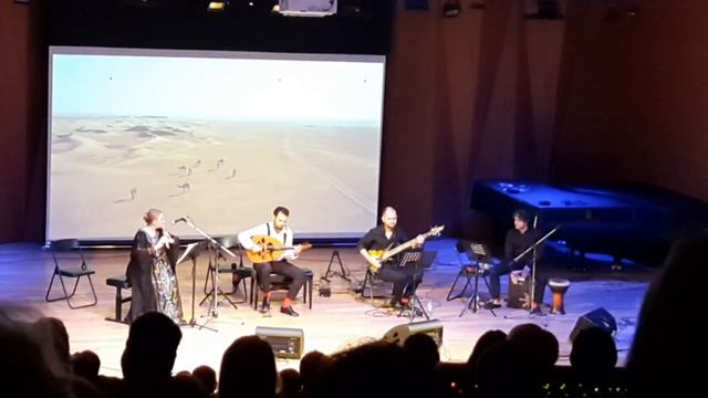 VID_20240216_232323_411