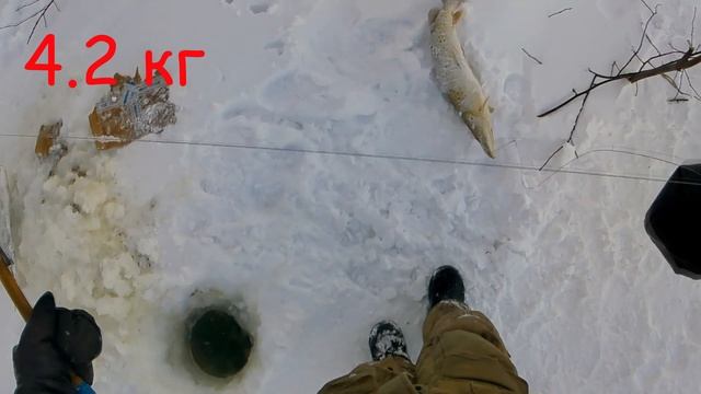 ударный январь 2022.mp4