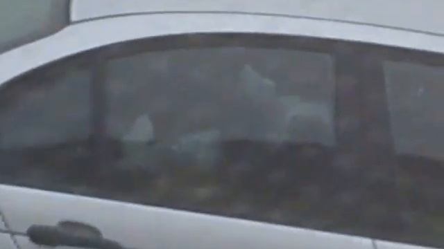 Бомж на тачке.