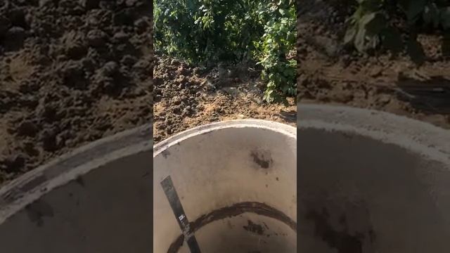 Копка колодцев Пушкинский район  89774391786  pushkino-kolodec.ru