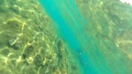 Подводная охота в Турции Алания | Рыбалка в Турции | Охота под водой | рыбалка в Алании Турция