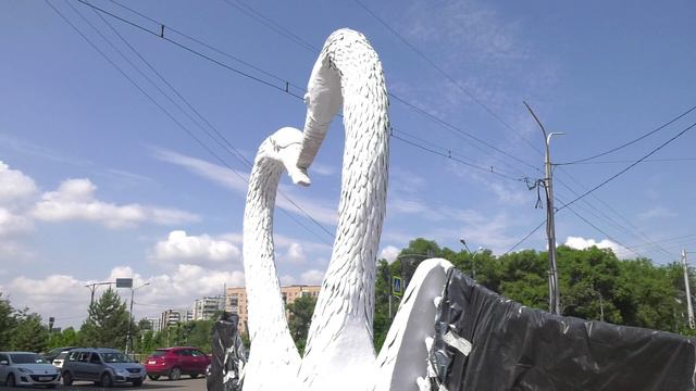 Лебеди рядом с городским ЗАГСом теперь еще краше. К сезону летних свадеб птицы почистили перышки