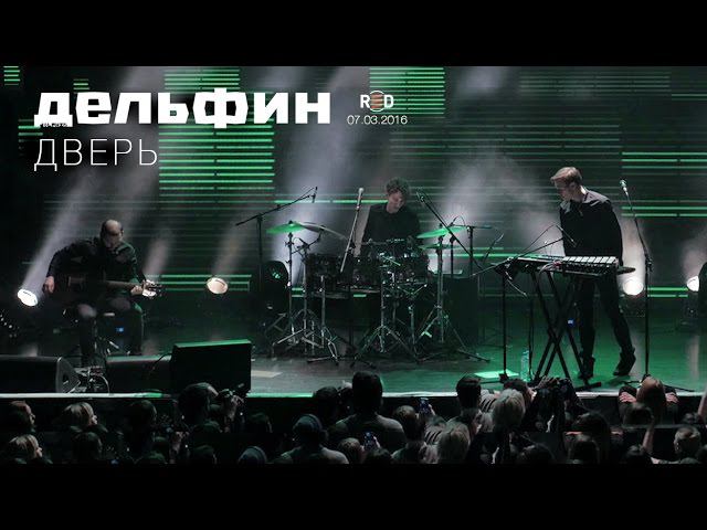 Дельфин | Dolphin - Дверь (Акустика live)