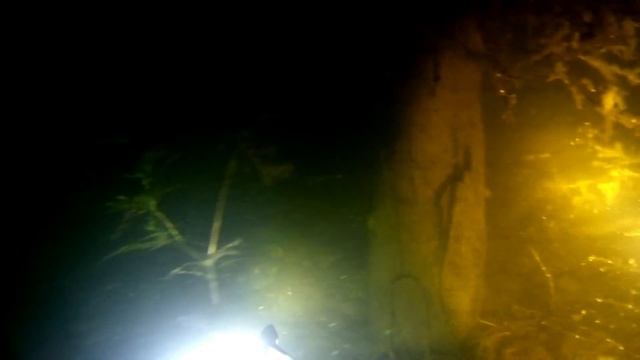 Подводная охота на судака в заливах и старицах.Павловском Водохранилище.Подводная охота в Башкирии.