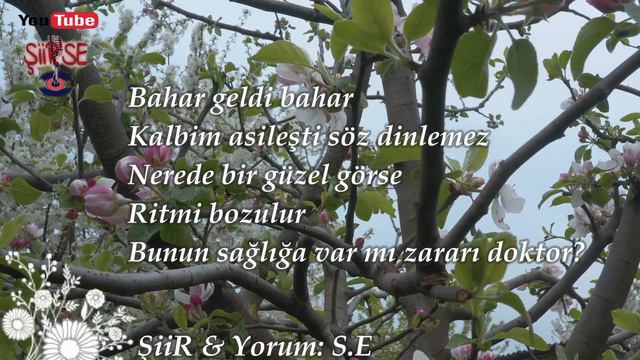 BAHAR GELDİ / Ⓢ𝓮𝓭𝓪𝓽 Ⓔ𝓵𝓭𝓮ş