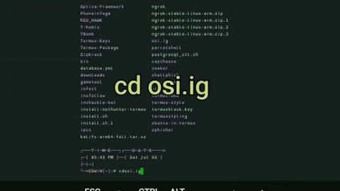 instagram Details tracker,?whith proof?