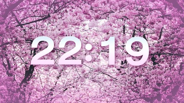 SPRING 45 MIN TIMER