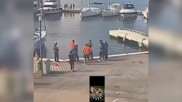 крепче  держись за живот