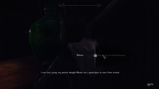 Skyrim: The Republic of Maslea