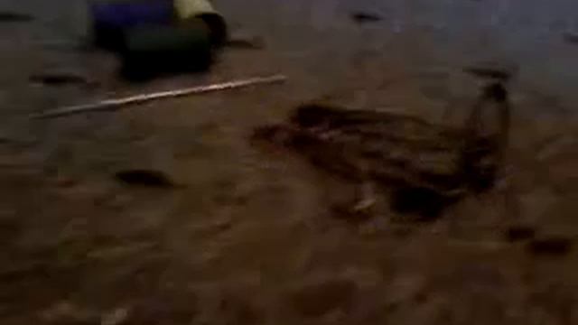 Как сделать непонятно-то из ткани