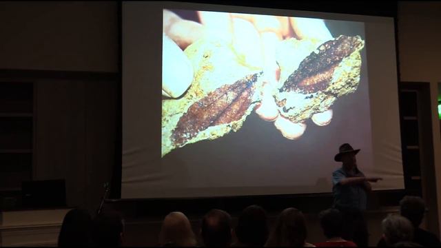 Dr.  Semir Osmanagić, New Smyrna Beach, FL: Pyramids  Around  the  World &  Bosnian  Pyramid  Energ
