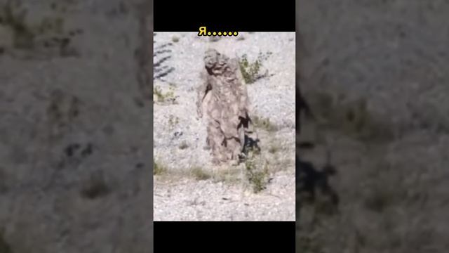 Как же хочется иногда спрятаться