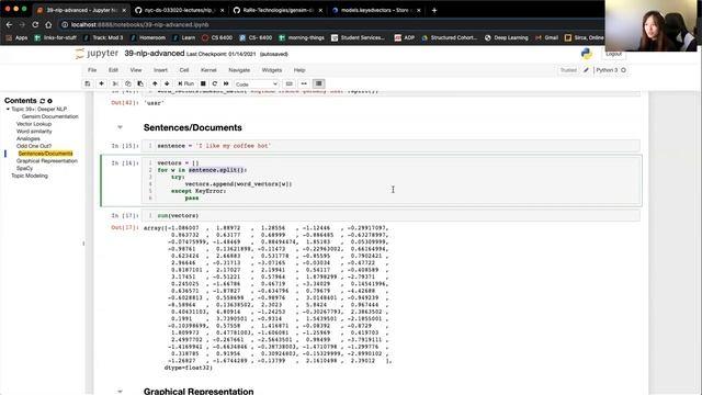 Section 39a: Natural Language Processing (word embeddings and LDA)