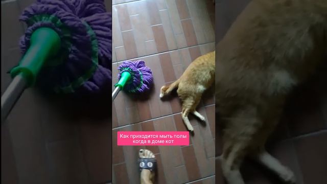 У кого также?