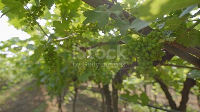 istockphoto-1833813499-640_adpp_is