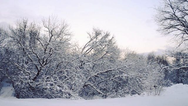Зимний сон