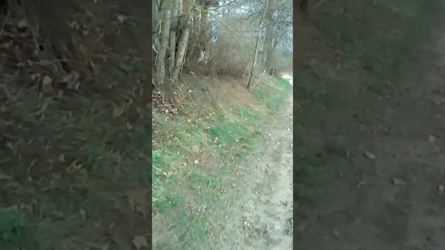 Реставрация дома с участком день первый пажар !!!!