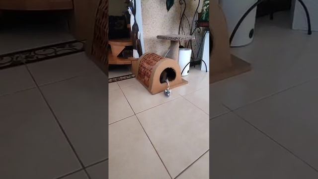 НАШЕ ВЕСЁЛОЕ УТРО