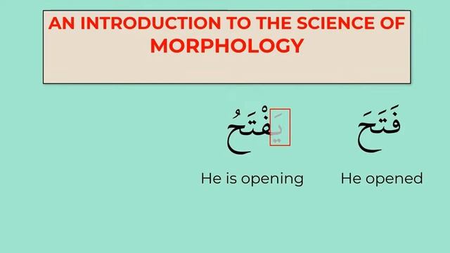 Arabic verbs EXPLAINED - Fully animated