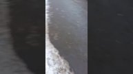 Лиаз 6213 .21 030474 маршрут 124