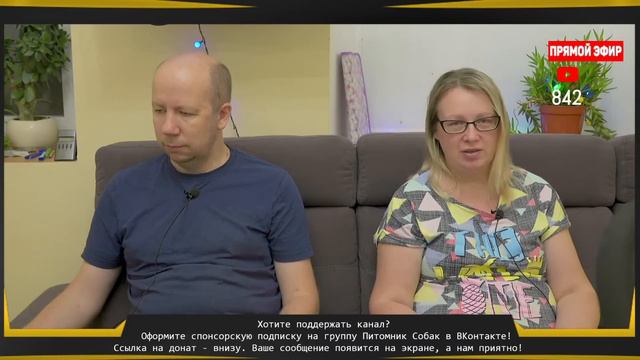 🔴 СТРИМ |   О наших собаках, которые...  [26 июня 22:30]