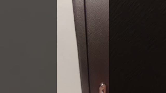 Двери Гардиан в Калининграде