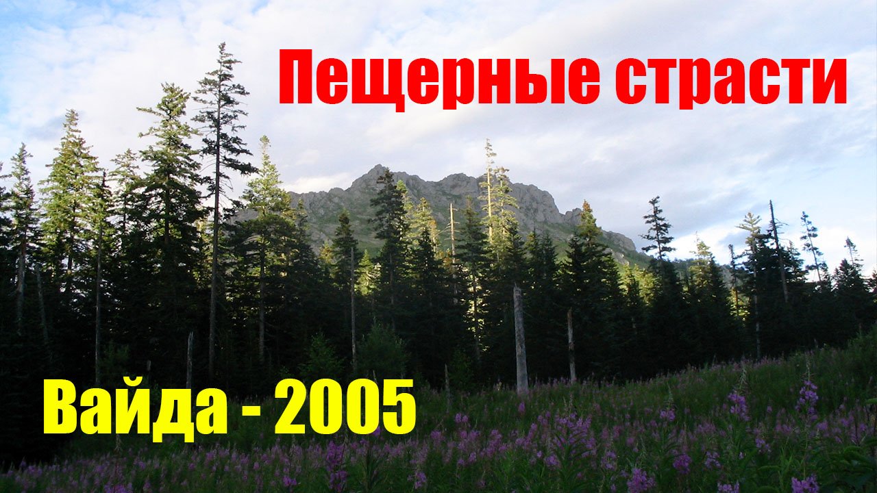 Пещерные страсти или Вайда – 2005