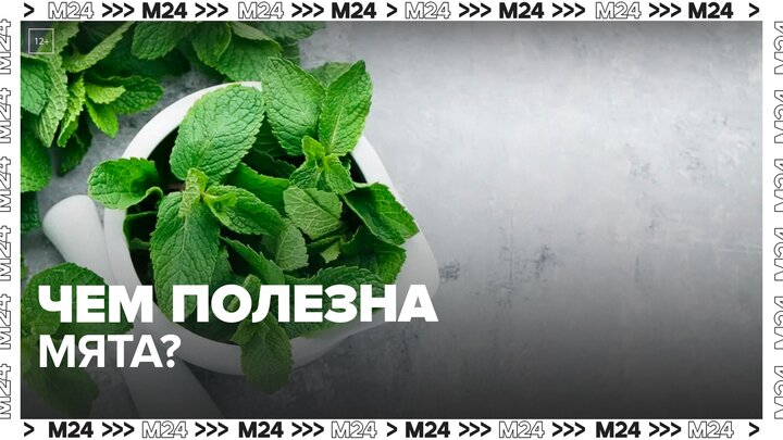 Врач-диетолог рассказала о полезных свойствах мяты — Москва 24