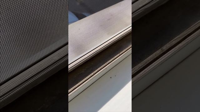 Уборка квартирs (видео ДО/ПОСЛЕ)