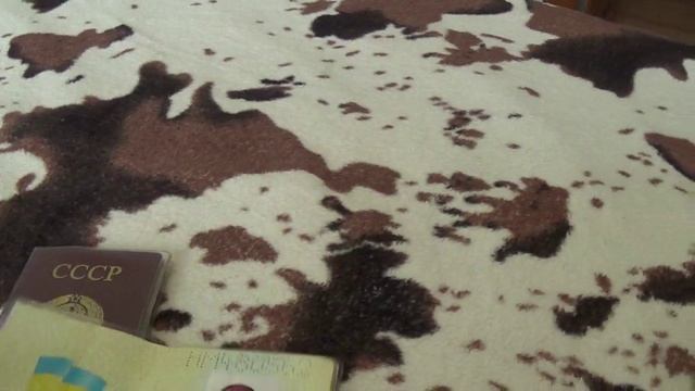 Бес предел на ДНРовской таможне в отношении гражданина СССР. 24.06.2019. с 9.30 по 10.30.